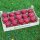 15 rote LOGO-Äpfel  in rustikaler Obstkiste
