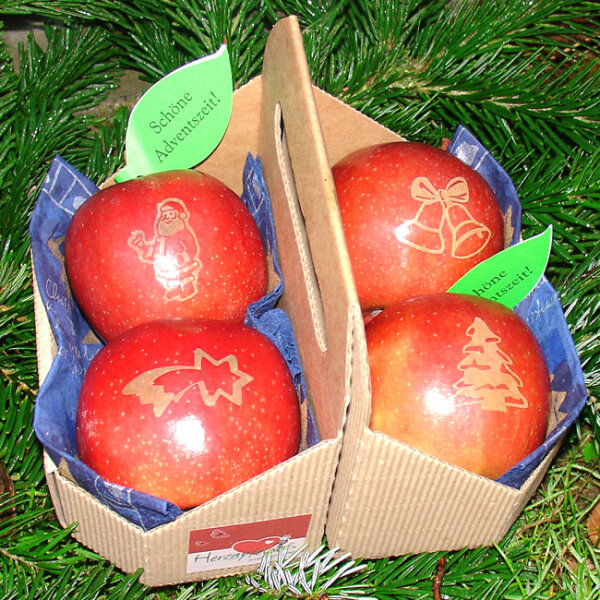 4 Weihnachtsäpfel in Apple Tray verpackt