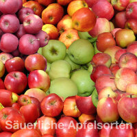 Probierpaket - Säuerliche Apfelsorten 5kg|truncate:60