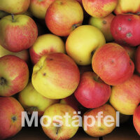 Mostäpfel, 5kg Bio-Santana-Saftäpfel|truncate:60