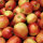 Bio-Äpfel 3kg-Steige / Jonagored
