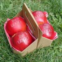 4 rote Logo-Äpfel! Laser in 4er Apple Tray verpackt|truncate:60