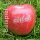 4 rote Logo-Äpfel! Laser in 4er Apple Tray verpackt