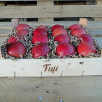 Fuji Bio-Äpfel 3kg-Kiste