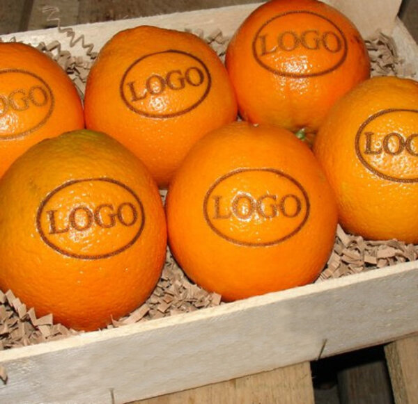 6 große Logo-Orangen in Holzkiste