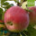 Bio-Apfel Astramel