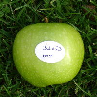 Grüner Apfel mit farbigem PR-Label