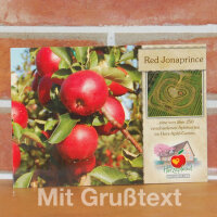 Grußkarte Red Jonaprince Apfel|truncate:60