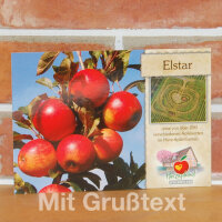 Grußkarte Elstar Apfel|truncate:60