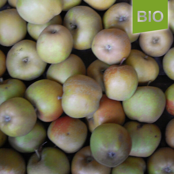 Graue Französische Renette Bio-Äpfel 5kg