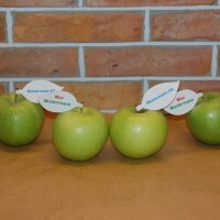Grüner Apfel mit individuellem Werbeblatt