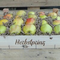 Herbstprinz Äpfel 3kg-Kiste|truncate:60