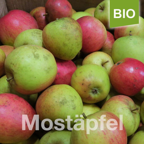 Mostapfel 13kg Bio-Martini-Saftäpfel