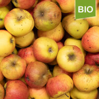 Mostapfel 13kg Bio-Krautsander Boiken-Saftäpfel