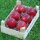6 rote LOGO-Äpfel in rustikaler Obstkiste