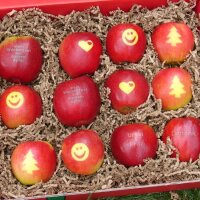 12 Motiv-Wunschäpfel im großen roten...