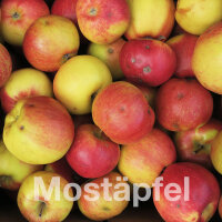 Mostäpfel, 13kg Bio-Santana-Saftäpfel|truncate:60