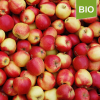 Bio-Äpfel der Sorte Gala 5kg|truncate:60
