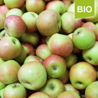 Krügers Dickstiel 5kg Bio-Äpfel