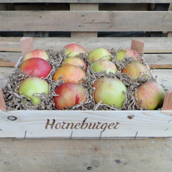 Horneburger Äpfel 3kg-Kiste