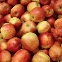 Bio-Äpfel 5kg-Steige / Jonagored