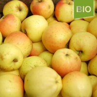 Gelber Bellefleur Bio-Äpfel 5kg|truncate:60