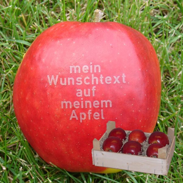 Liebesapfel rot / Wunschtext / 6 Äpfel Holzkiste / Kiste ohne Branding