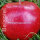 25 rote LOGO-Äpfel  in Obstkiste dekorativ verpackt