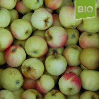 Wachsrenette Bio-Äpfel 5kg|truncate:60