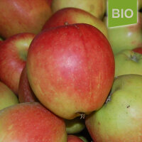 Bio-Apfel Braeburn