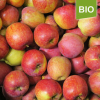 Remo Bio-Äpfel 5kg|truncate:60