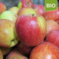 Remo Bio-Äpfel 5kg