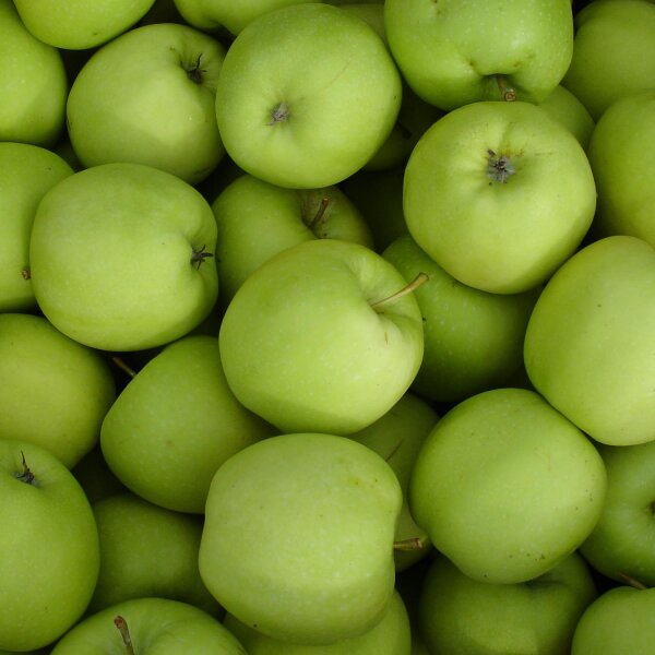 Nicogreen Apfel 6kg unreif sehr knackig