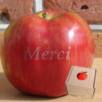 Apfel mit Branding Merci|truncate:60