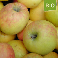 Bio-Apfel Bittenfelder Sämling