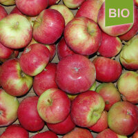 Roter Wiesling Bio-Apfel 5kg