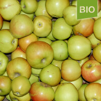 Landsberger Renette Bio-Äpfel 5kg|truncate:60