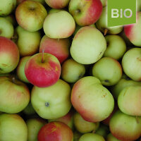 Landsberger Renette Bio-Äpfel 5kg