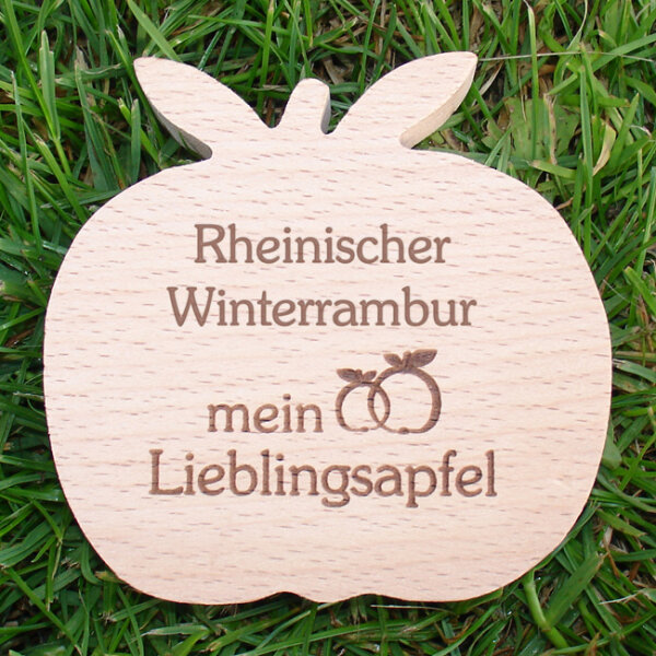 Rheinischer Winterrambur mein Lieblingsapfel, Holzapfel