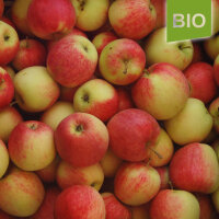 Bio-Apfel Piros 4kg