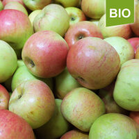 Bio-Apfel Celler Dickstiel|truncate:60