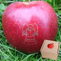 Apfel mit Branding Engel