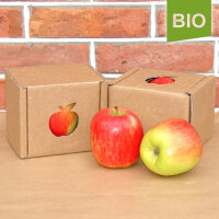 Bio-Apfel der Sorte Delbarestivale (Delbar)|truncate:60