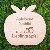Apfelbirne Nashiki mein Lieblingsapfel, dekor. Holzapfel