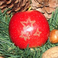 Rote Weihnachtsäpfel mit Motiv / 3 Sterne