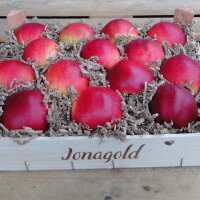 Jonagold Bio-Äpfel 3kg-Kiste