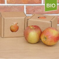 Bio-Apfel Boskoop - Backapfel / Bratapfel|truncate:60