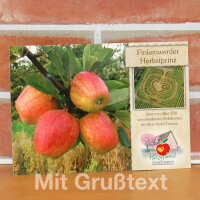 Grußkarte Finkenwerder Herbstprinz Apfel I