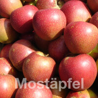 Mostäpfel, 13kg Bio-Wellant-Saftäpfel|truncate:60