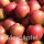 Mostäpfel, 13kg Bio-Wellant-Saftäpfel